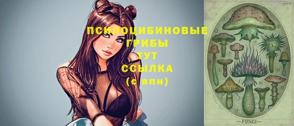 таблы Вяземский
