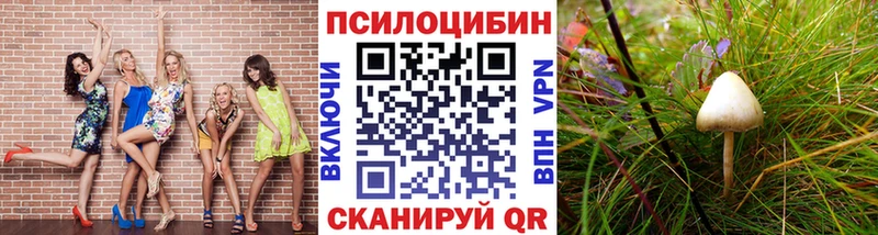 Псилоцибиновые грибы мухоморы  Гусь-Хрустальный 
